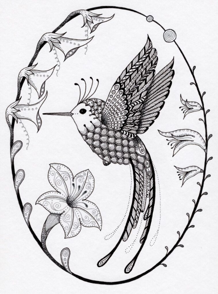 Hummingbird pen and ink drawing