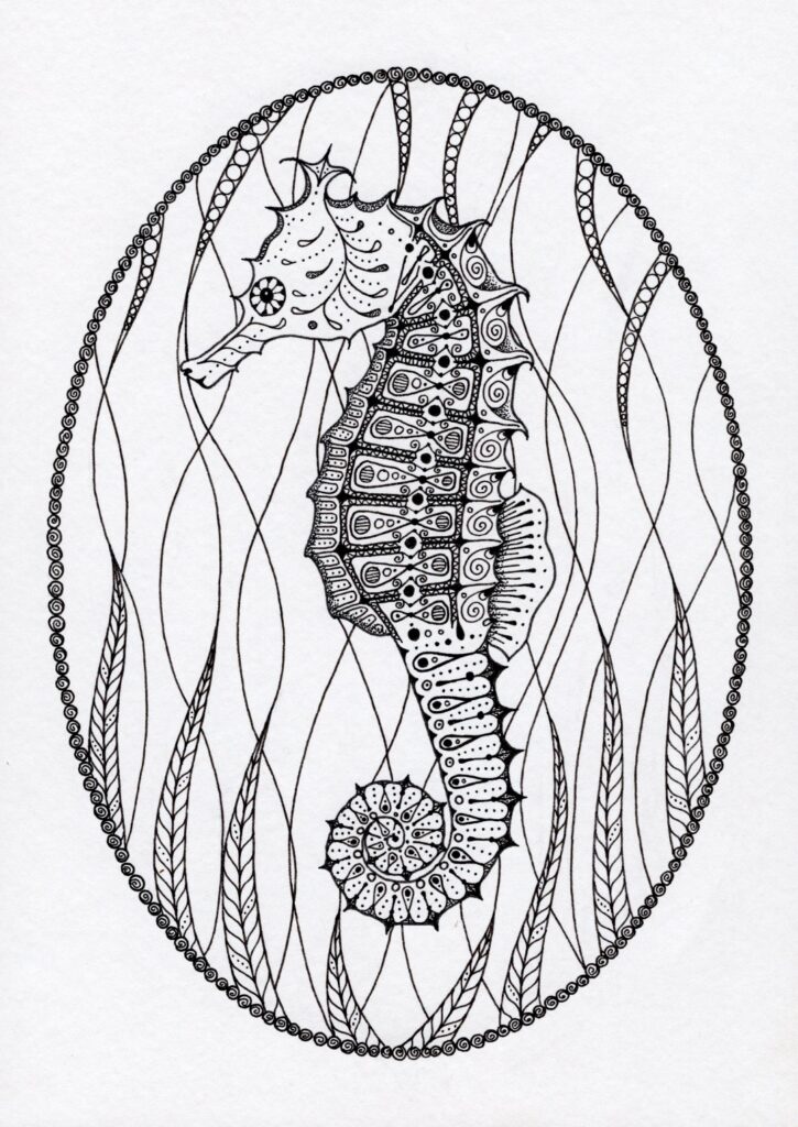 Seahorse pen and ink drawing
