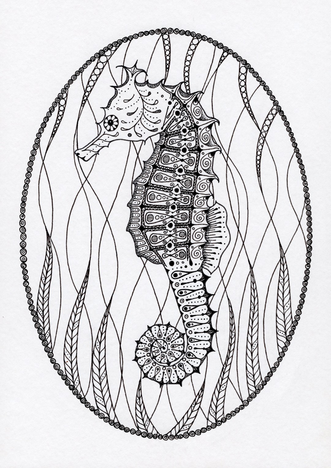 Seahorse pen and ink drawing